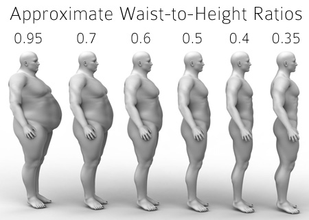 The Top Benefits of Having a Smaller Waist as a Guy - LHA Health Group